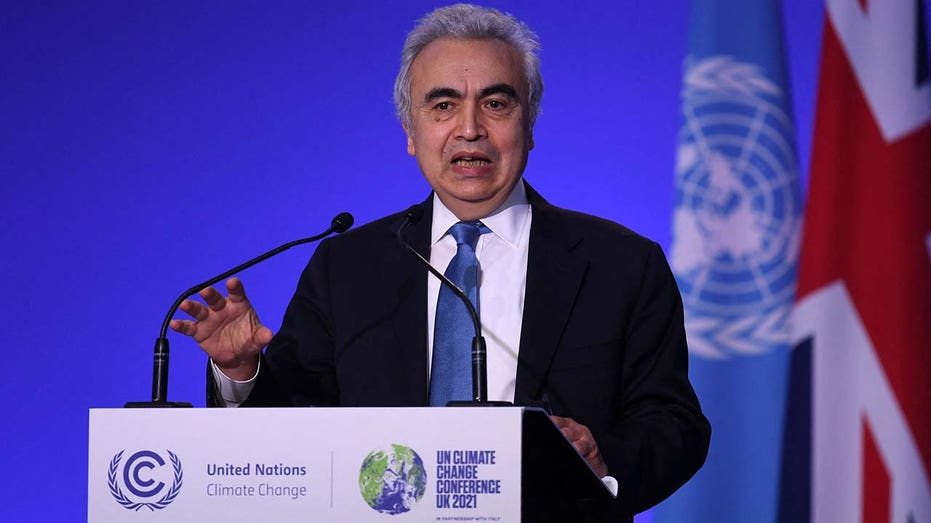 IEA Fatih Birol