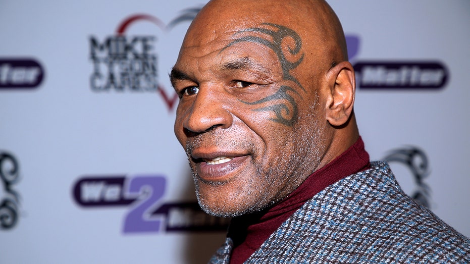 Mike Tyson throws punches at unruly passenger on JetBlue flight: report | Fox Business