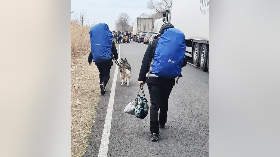 Ukraine Global Guardian