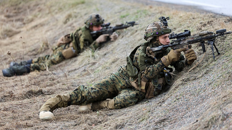 Marines training with NATO