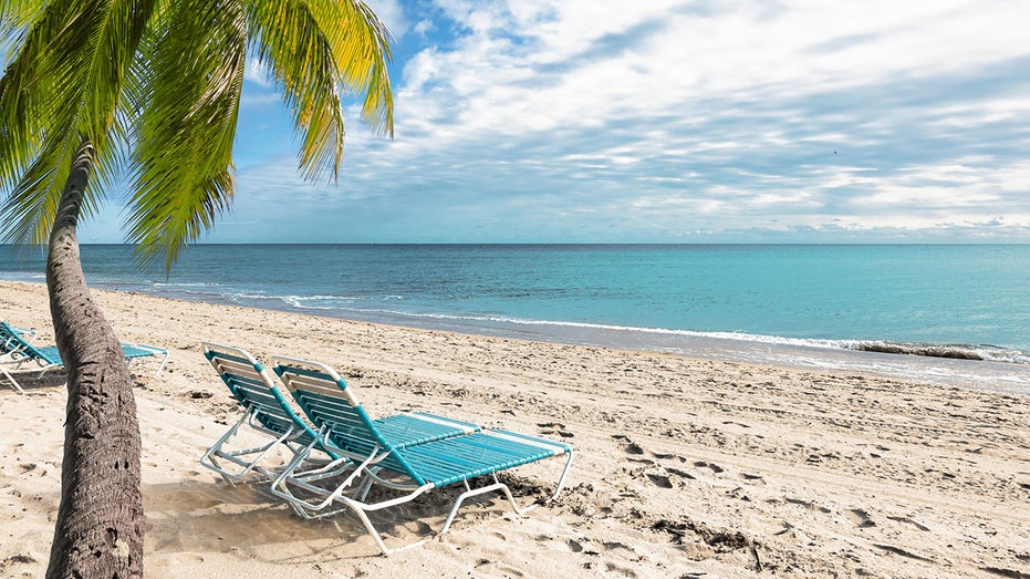 Empty beach chairs