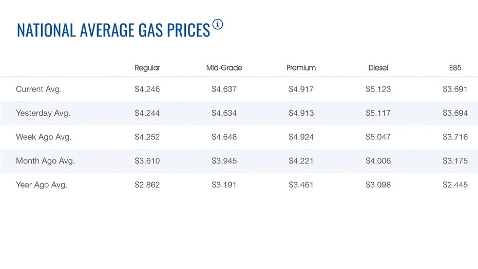 Gas prices: Fuel type can save you money at the pump - Fox Business