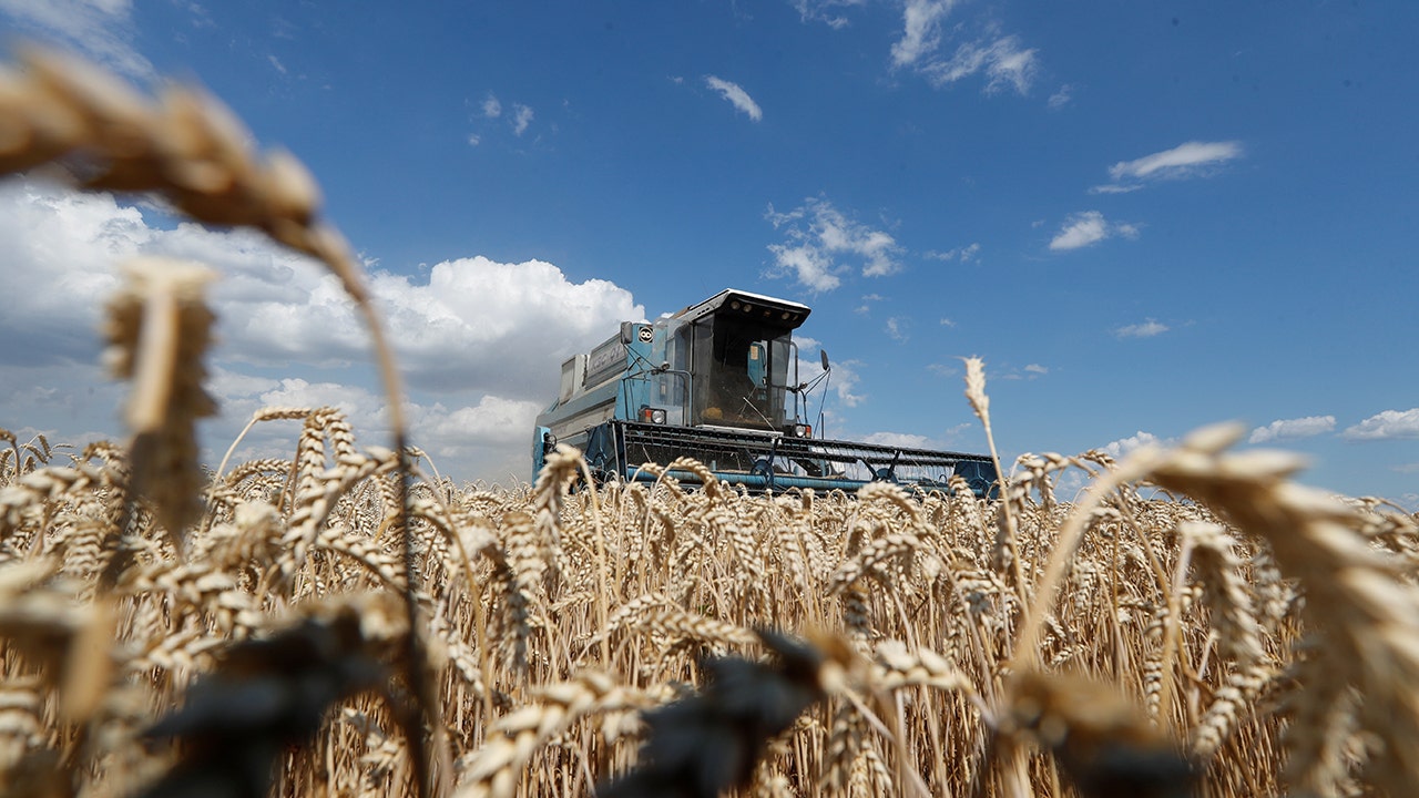 Die Türkei und Russland erreichen diesen Monat einen Rahmen für die ukrainische Weizenlieferung: EXKLUSIV