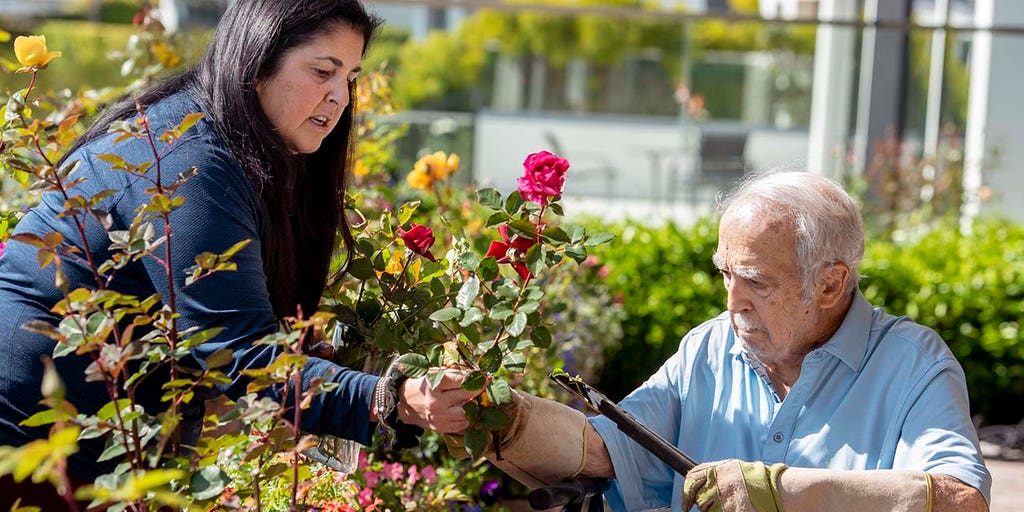 Tax Advice: Can you claim an elderly parent as a dependent? - Vimarsana News