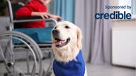 Service dog loans: How to get financial help for a service dog