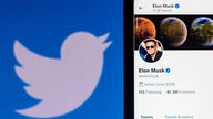 Elon Musk vows to 'defeat the spam bots' or 'die trying' if Twitter bid succeeds