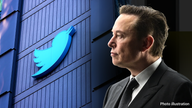 FCC commissioner shoots down 'absurd' claim that the federal government can block Musk's Twitter purchase