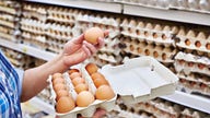 Blue state outlaws most eggs unless cage-free, before new year