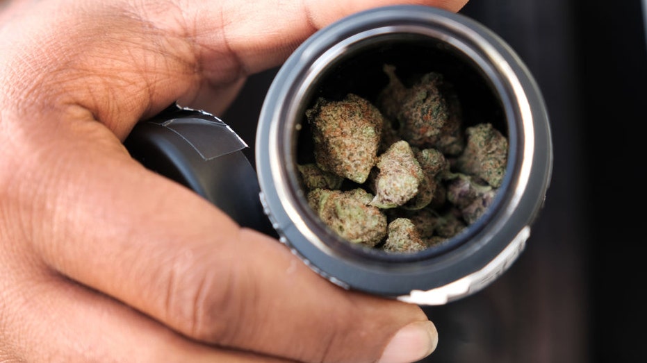 Man holds container of recreational marijuana