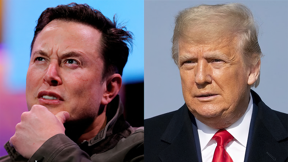 Split photo of Elon Musk and Donald Trump