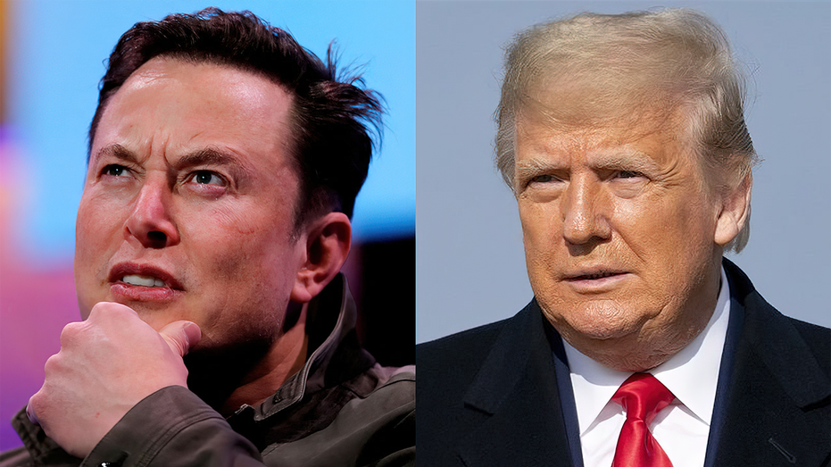 Photo partagée d'Elon Musk et de Donald Trump