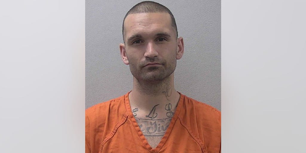 South Carolina man arrested after stealing long guns from Walmart: police - Vimarsana News