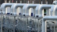 Germans may have to ration hot water if Russia cuts off gas supply