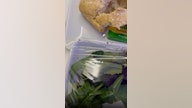 After business traveler says he found bugs in his salad, airline responds