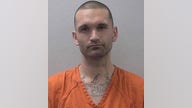 South Carolina man arrested after stealing long guns from Walmart: police