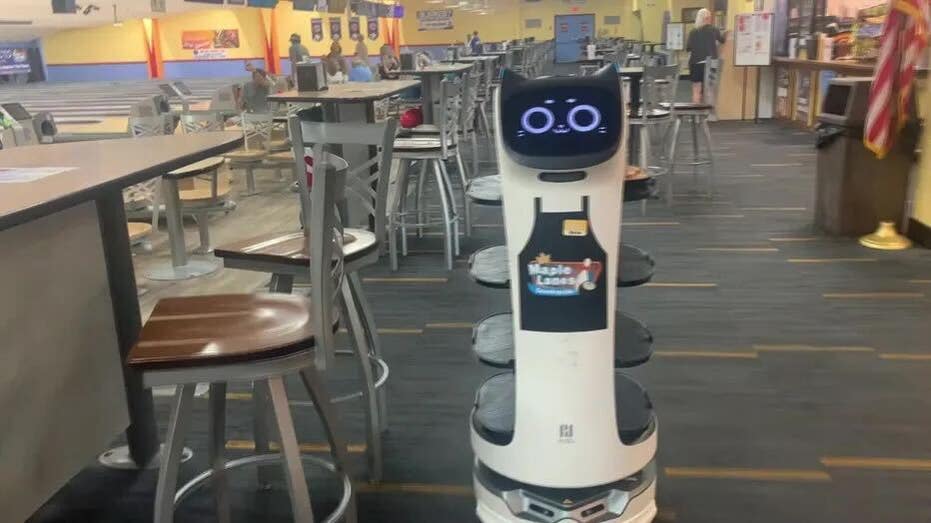 Food delivery robot
