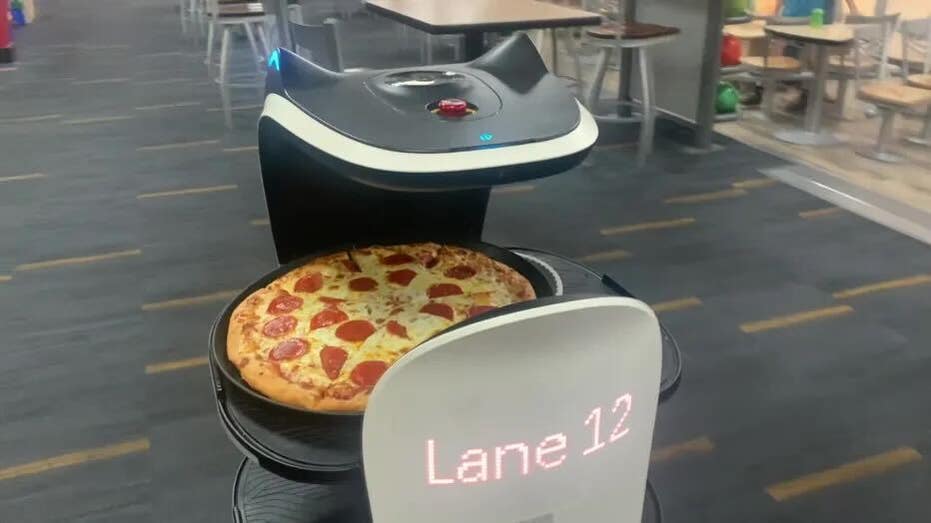 Robot delivers pizza
