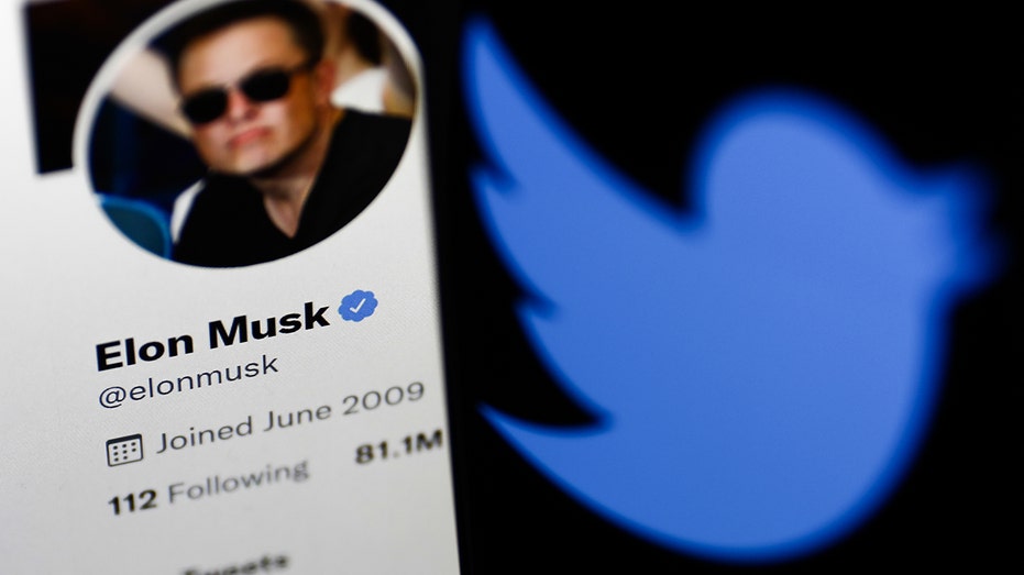 El perfil de Twitter de Elon Musk junto al logo de Twitter