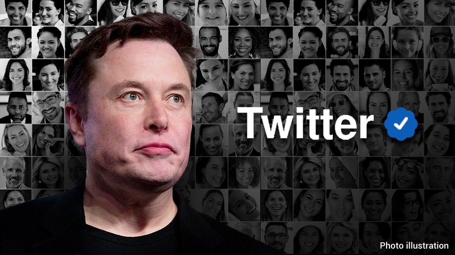 Elon Musk bids for Twitter