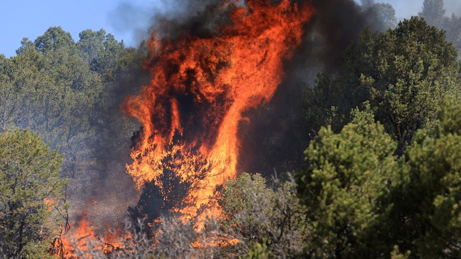 New Mexico wildfire