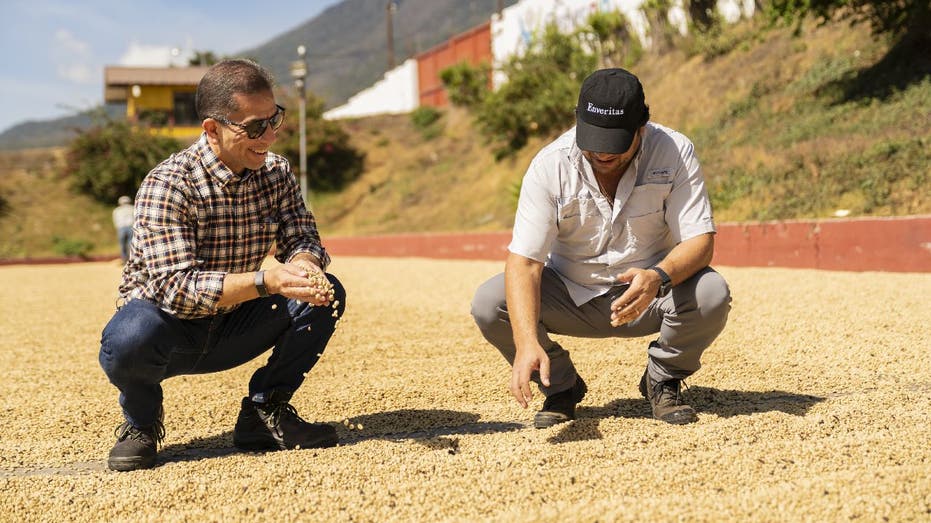 Two Enveritas representatives examine ground where coffee is grown