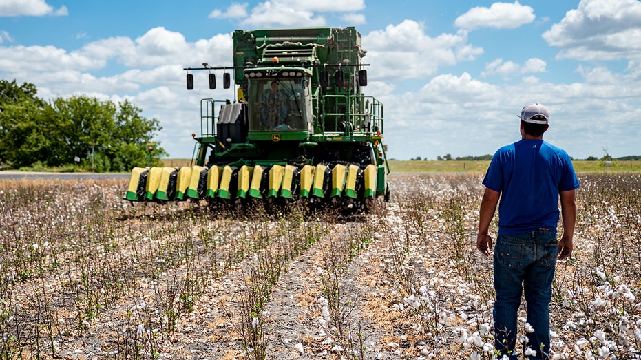 Texas is No. 1 in U.S. cotton production, and the farmers need your support