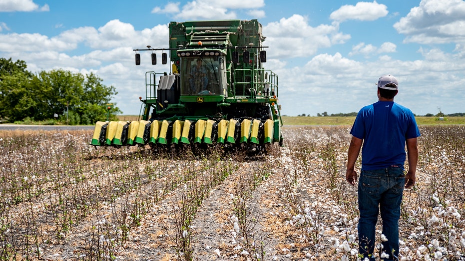 A Texas cotton farmer stands in front of a tractor 