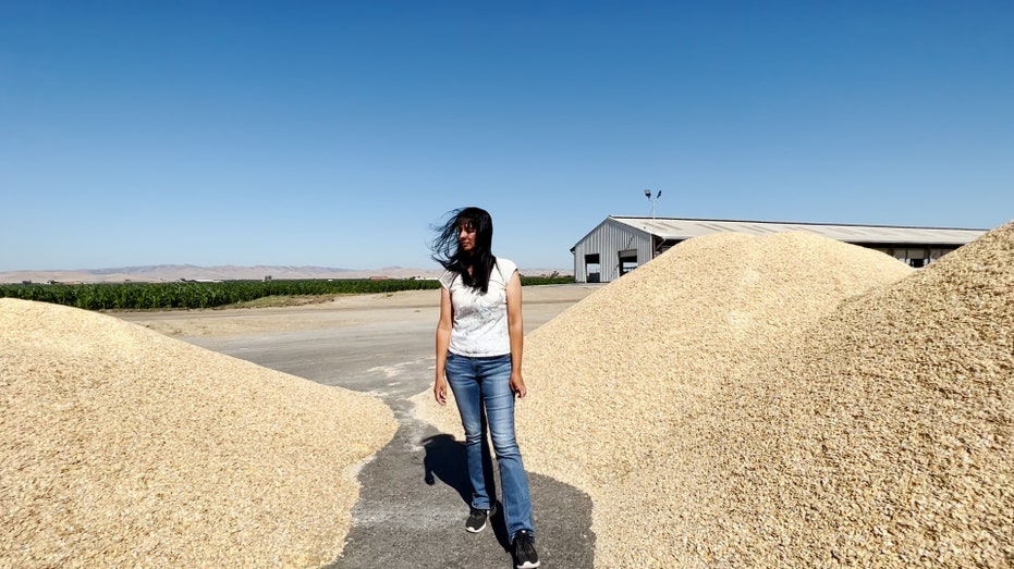 California cattle farmer on corn shipments