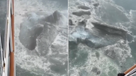 Video shows Norwegian Cruise ship hit iceberg: 'Titanic 2.0'