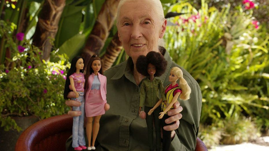 Jane Goodall holds 2022 Career of the Year Eco-Leadership Team dolls