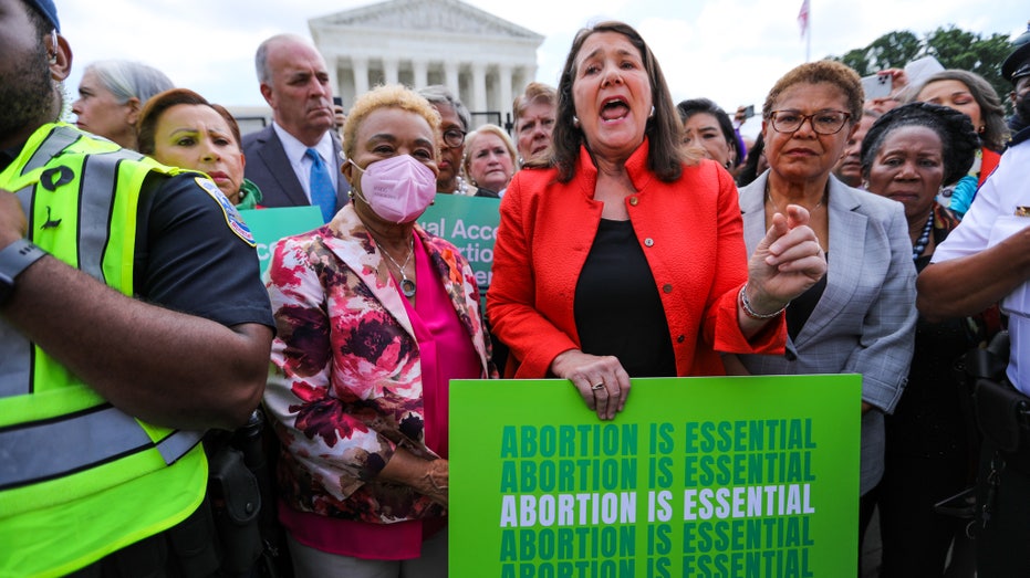 Democrats rally Roe v. Wade