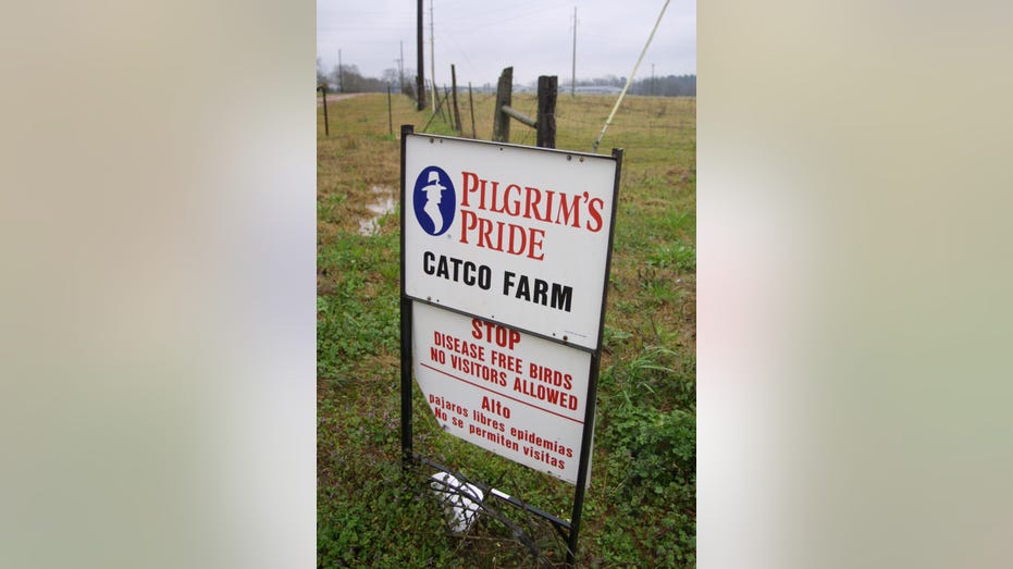Pilgrims pride