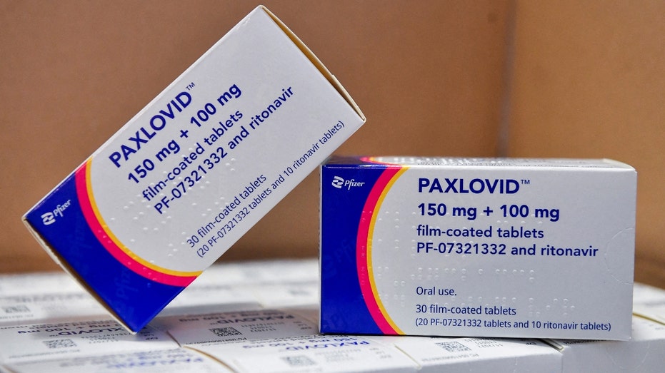 Pfizer's Paxlovid drug