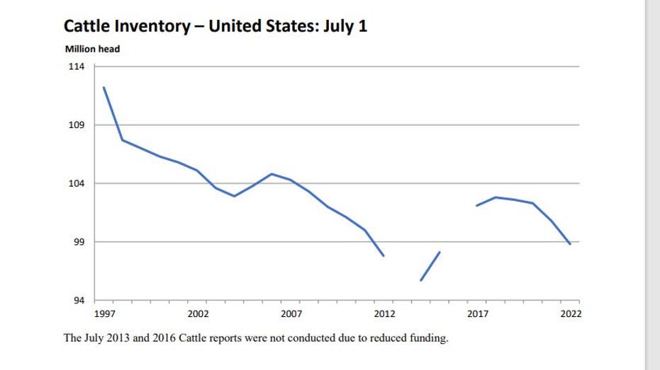 cattle inventory