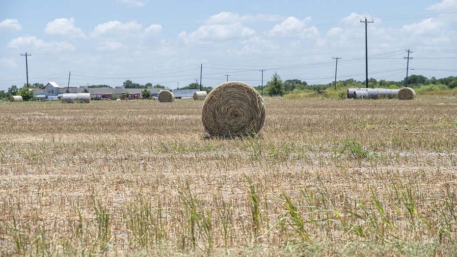 hay bales