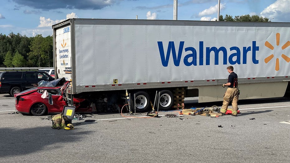 Tesla gainesville crash