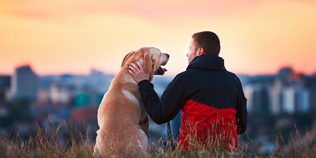 Trends of old-school veterinary practices being bought by national companies - Vimarsana News