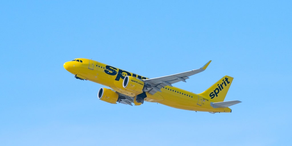 Spirit Airlines announces vendor switch at Dallas airport will impact 134 employees - Vimarsana News