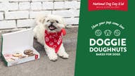 Krispy Kreme releases dog doughnuts for the 1st time in honor of National Dog Day