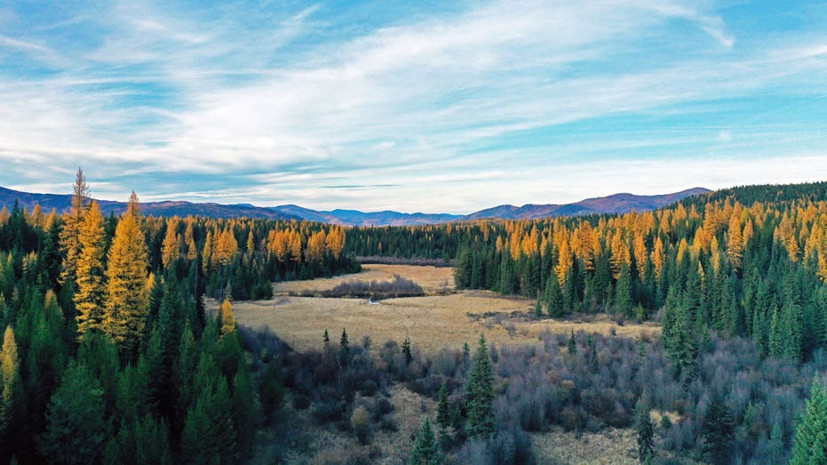 yaak valley montana landscape