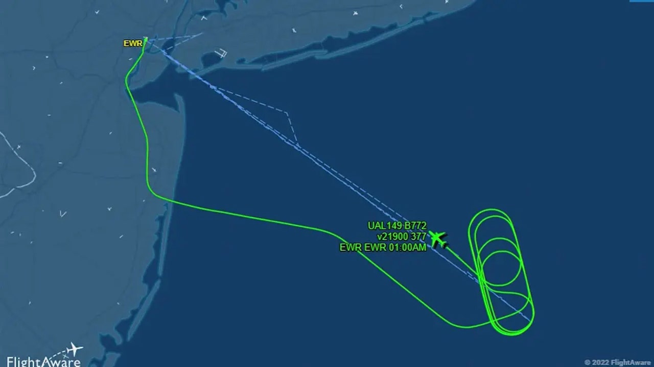 United Airlines flight makes emergency landing at Newark airport after