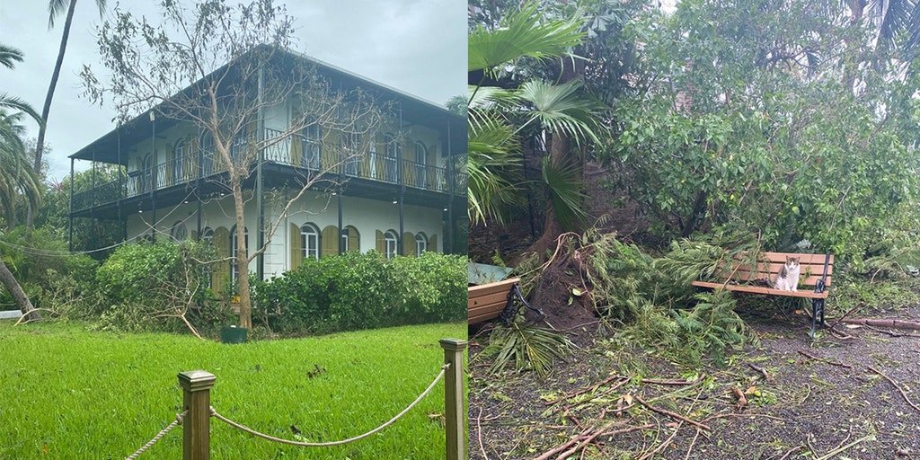 Ernest Hemingway's Florida home intact and property's 59 cats are safe after Hurricane Ian - Vimarsana News