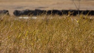 Drought forces farmers to scale back and others to fold as economists warn of price hikes