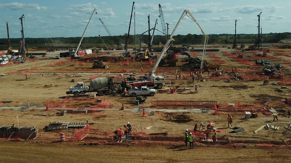 blue oval cranes