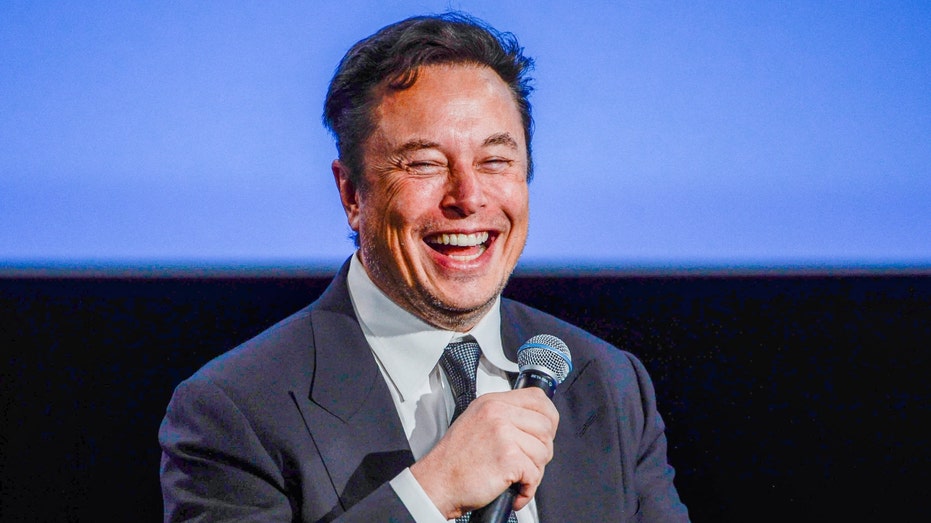 Tesla CEO Elon Musk 