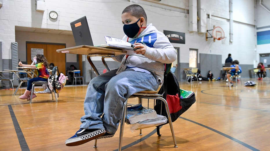 Elementary student on computer at desk