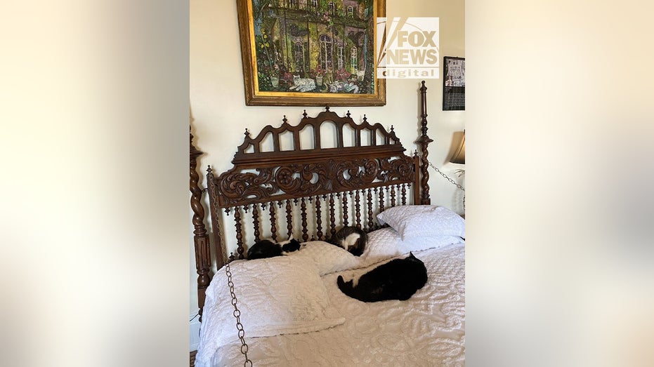 Ernest Hemingway's estate cats