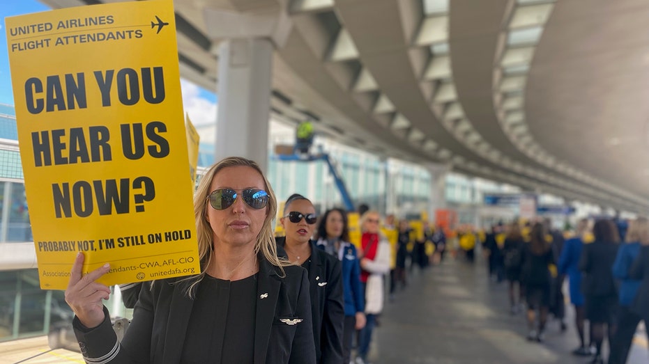 United airlines picket