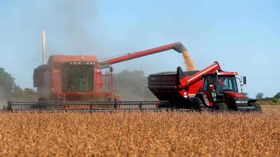 Soybean harvesting