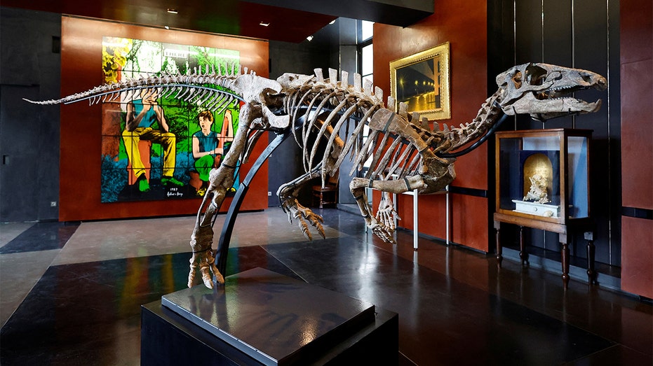 dinosaur skeleton on display in Paris